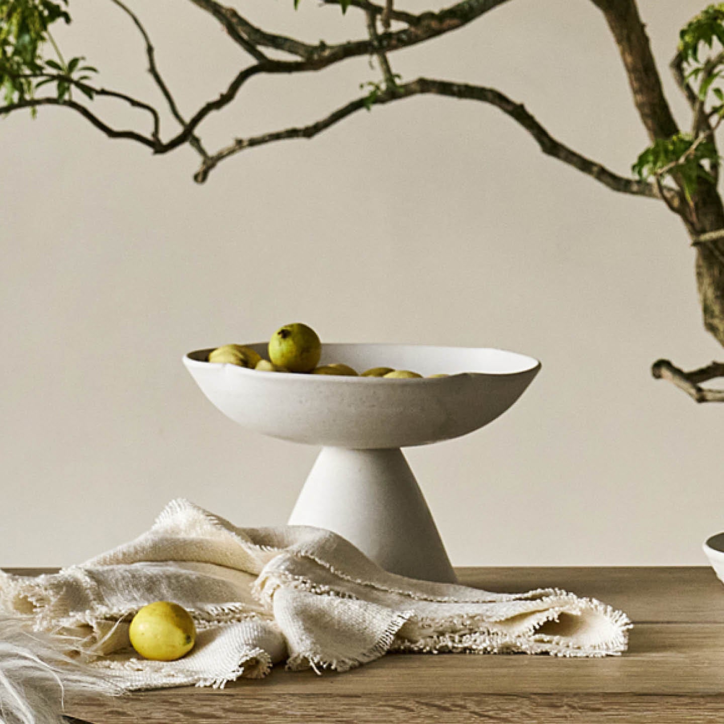 Robynn Storgaard Clover Stand